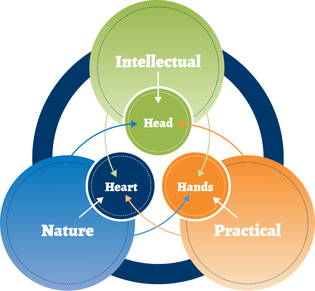 Flourishing School Culture Instrument